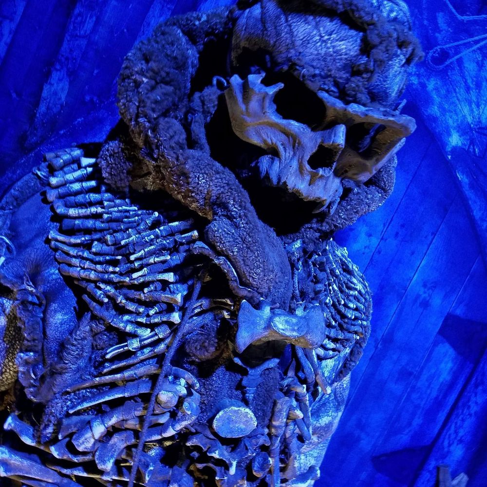 Meet your Posher, Demetria